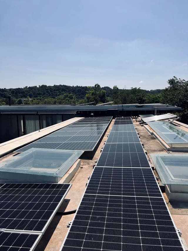 Fileiras de placas solares em uma laje ampla, entre claraboias de vidro, com mata ao fundo