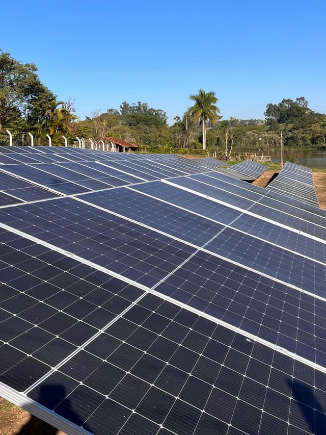 Fileiras de placas solares de uma usina montada no solo, sob céu azul