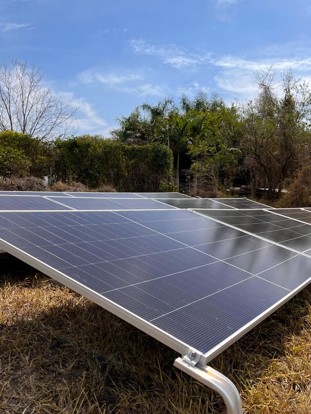 Placas solares sobre estrutura metálica baixa, fixada no solo, com árvores ao fundo