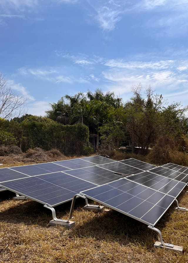 Várias fileiras de placas solares montadas no solo, em terreno com grama seca